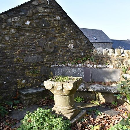 Crug Glas Country House セント・デイビッズ エクステリア 写真