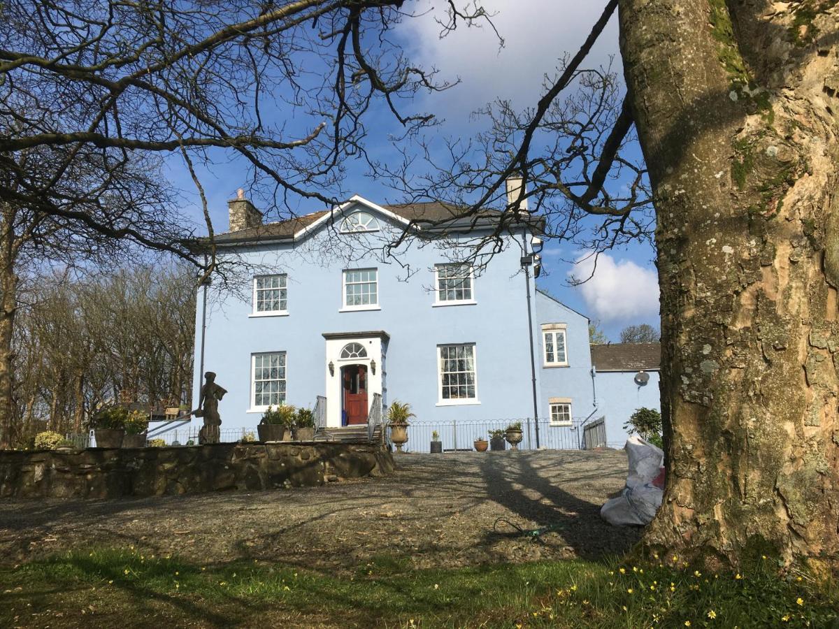 Crug Glas Country House セント・デイビッズ エクステリア 写真
