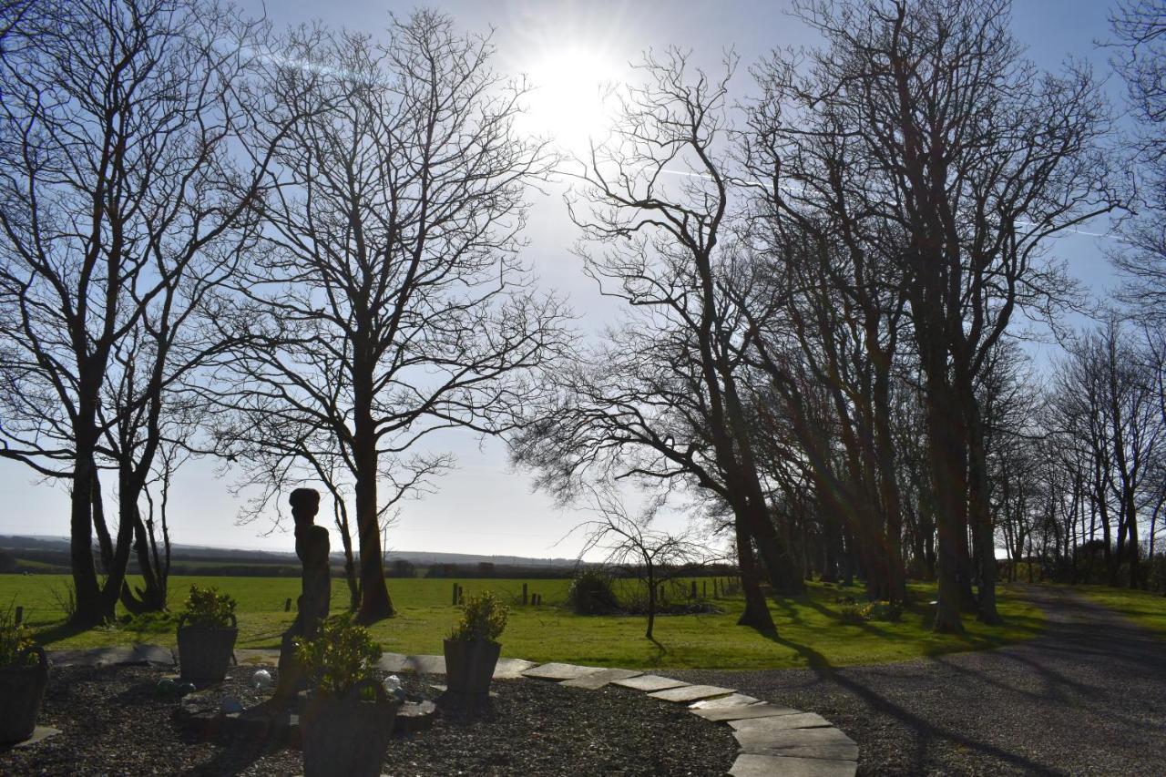 Crug Glas Country House セント・デイビッズ エクステリア 写真