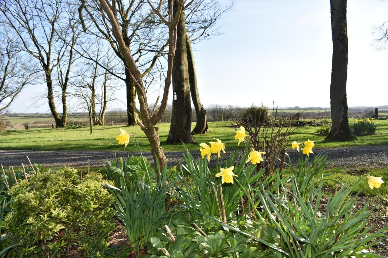 Crug Glas Country House セント・デイビッズ エクステリア 写真