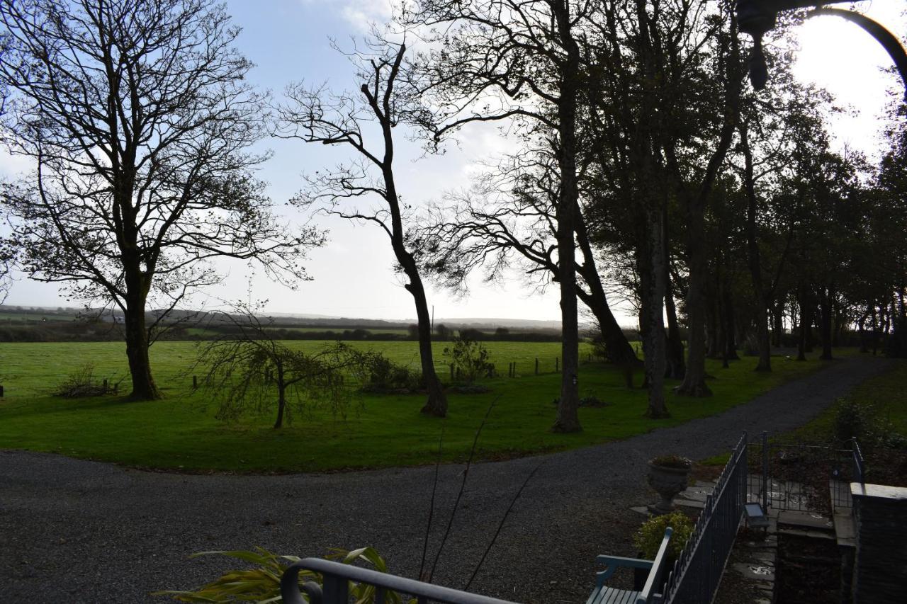 Crug Glas Country House セント・デイビッズ エクステリア 写真