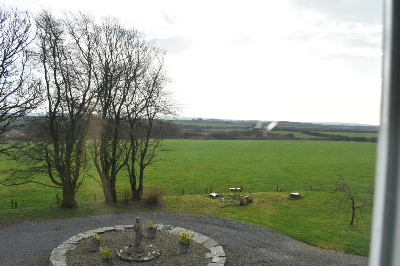 Crug Glas Country House セント・デイビッズ エクステリア 写真