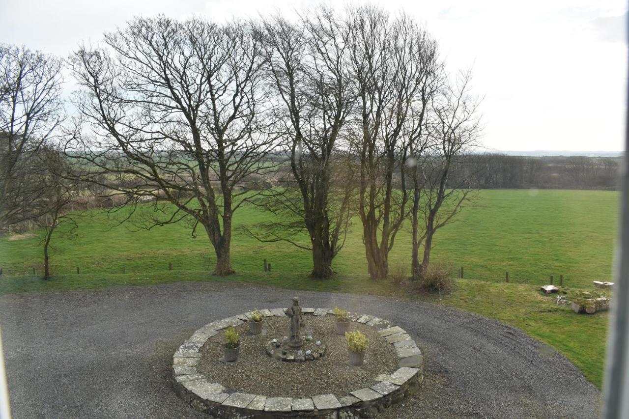 Crug Glas Country House セント・デイビッズ エクステリア 写真