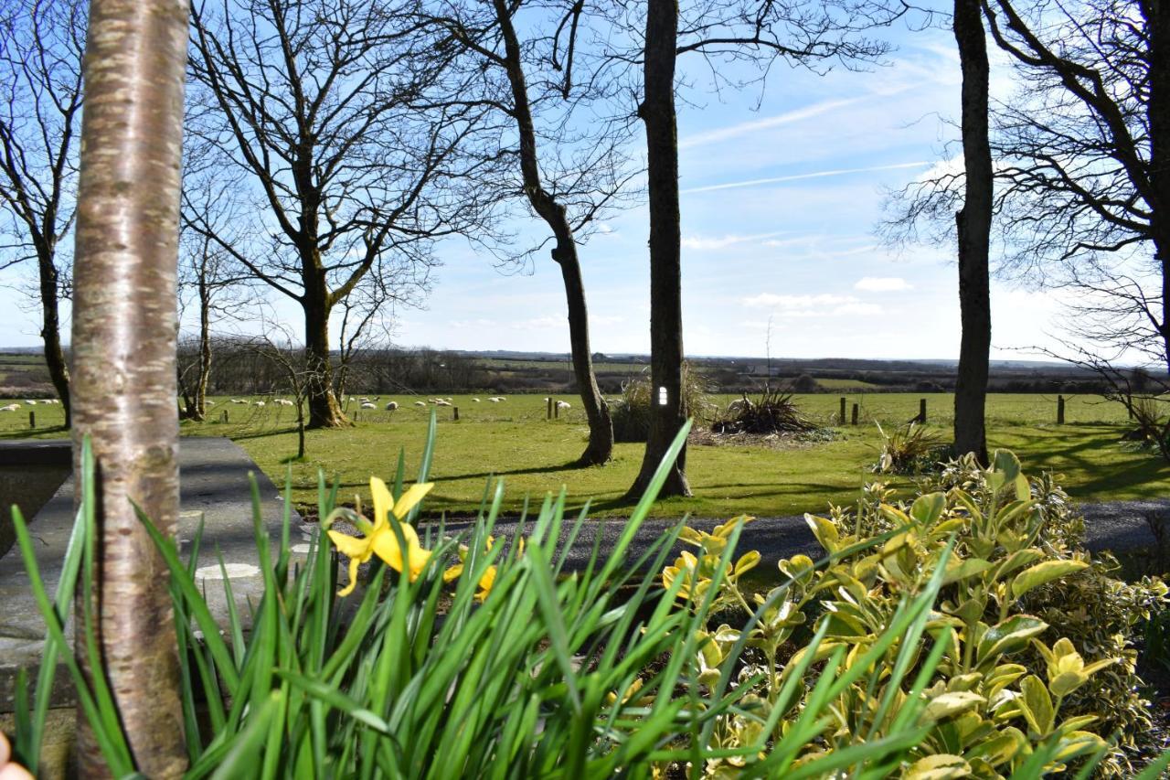 Crug Glas Country House セント・デイビッズ エクステリア 写真