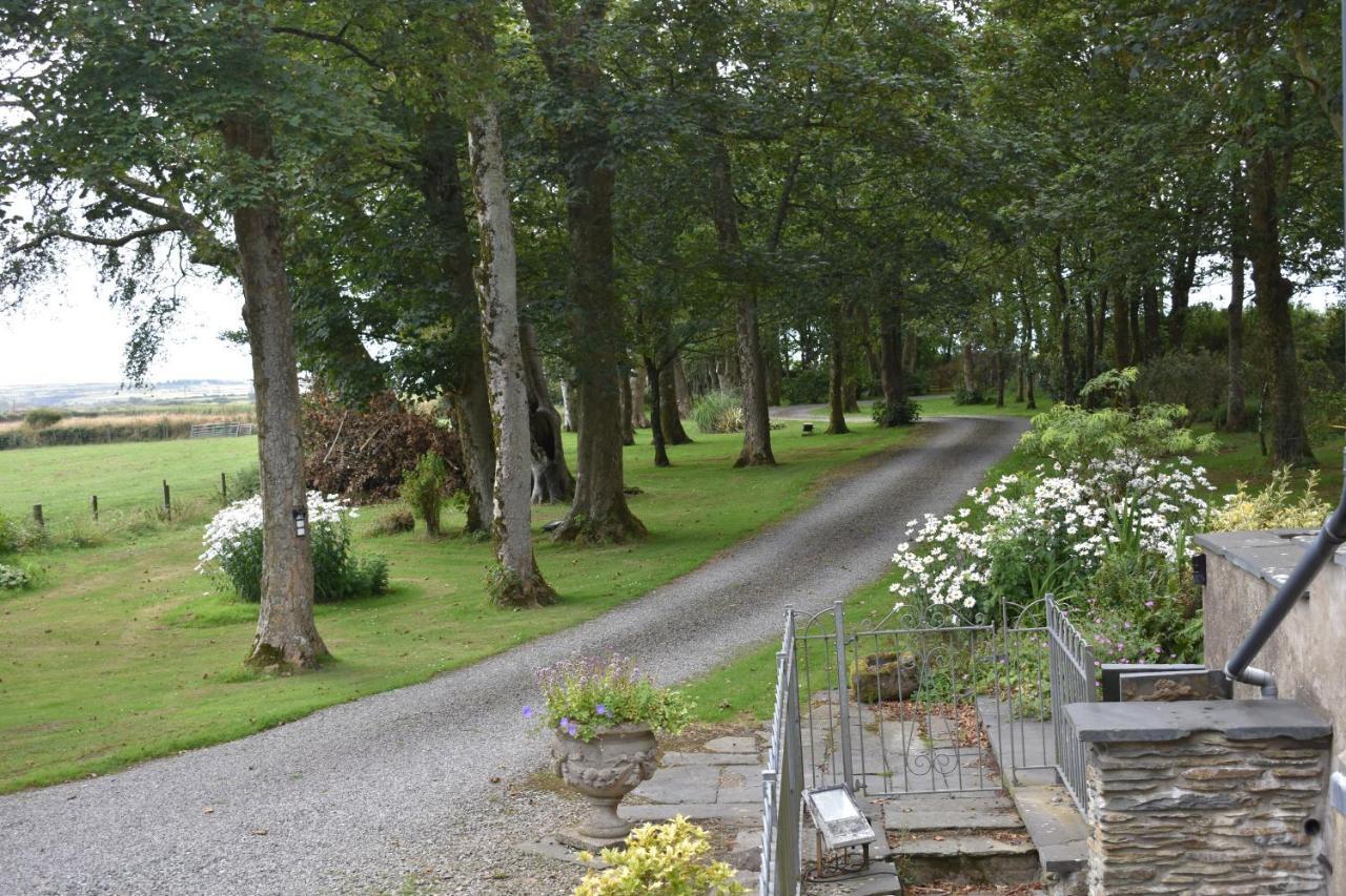 Crug Glas Country House セント・デイビッズ エクステリア 写真